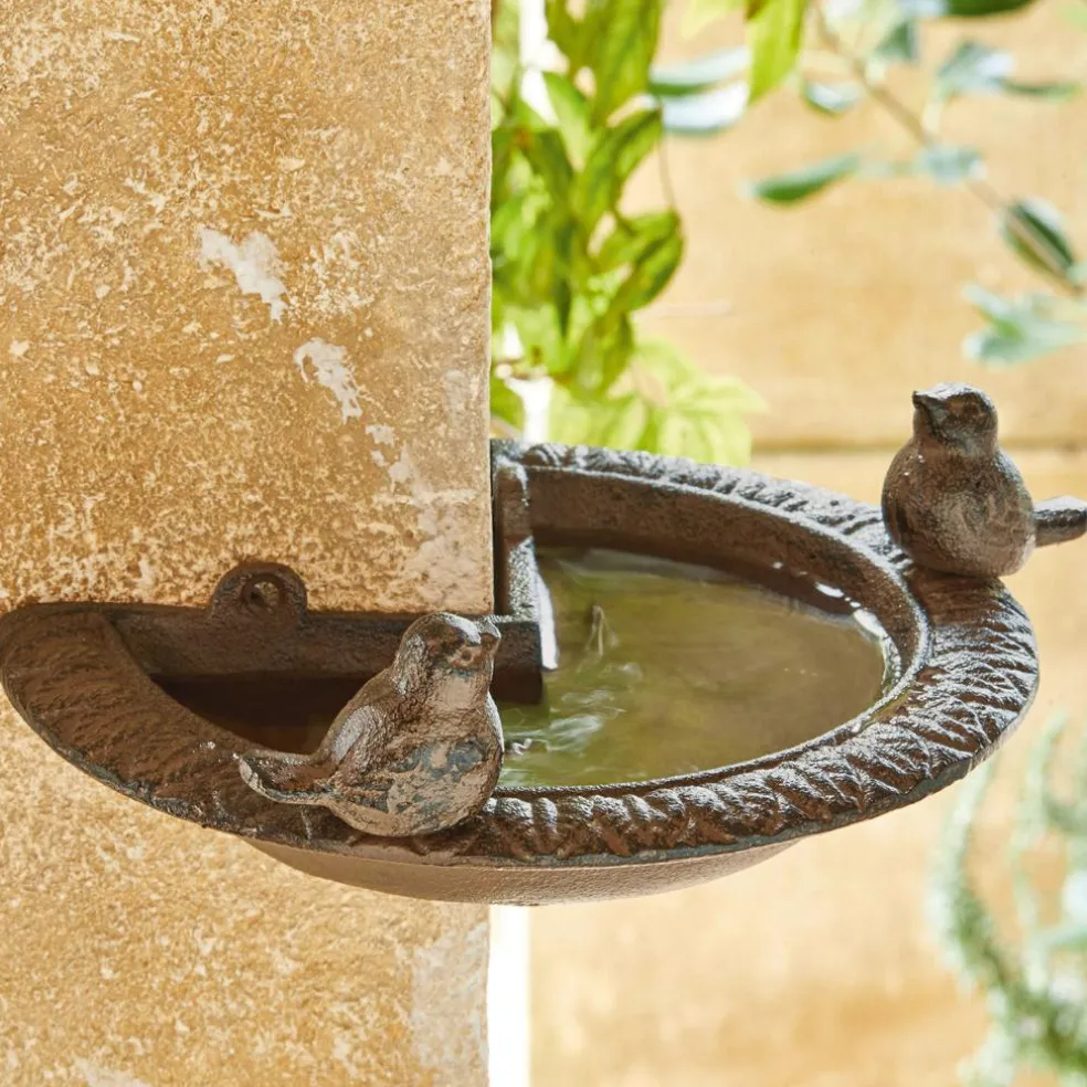 Abreuvoir pour oiseaux Laver