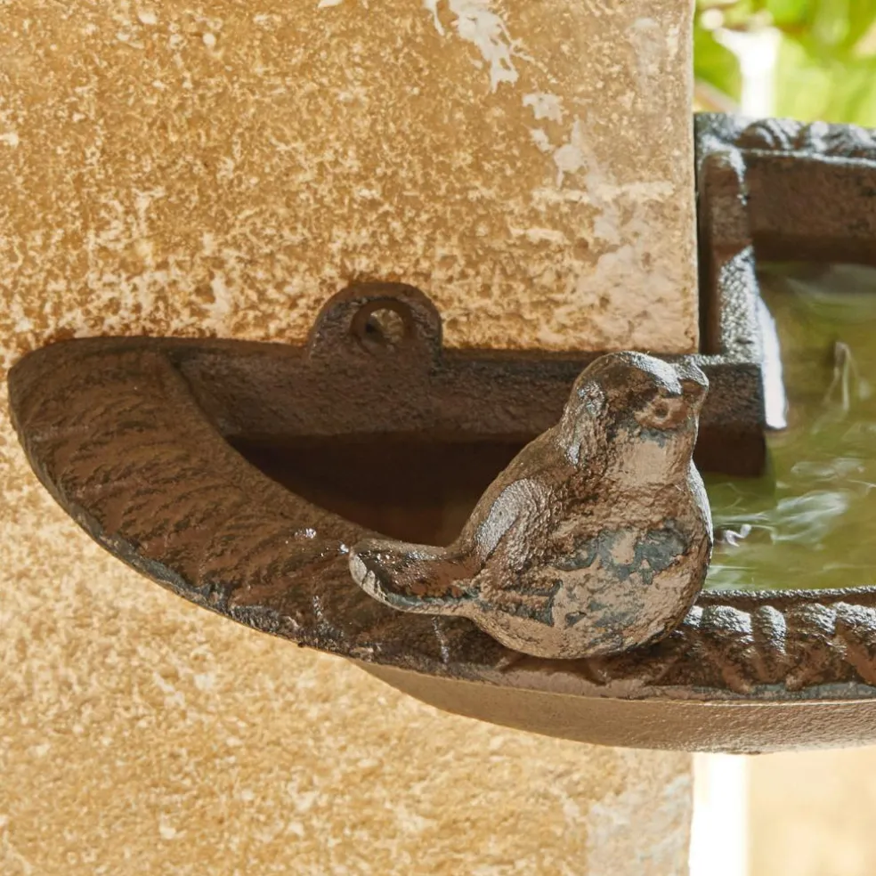 Abreuvoir pour oiseaux Laver