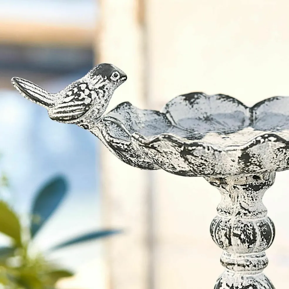 Abreuvoir pour oiseaux Petrofani