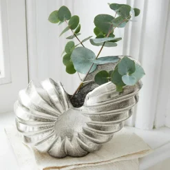 Ammonite décorative Whirl
