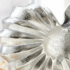 Ammonite décorative Whirl