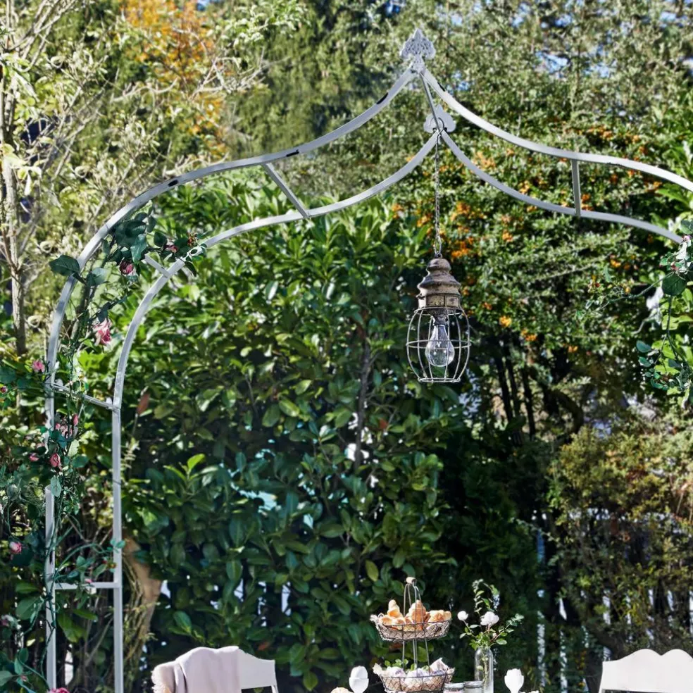 Arche à rosier Dimarus