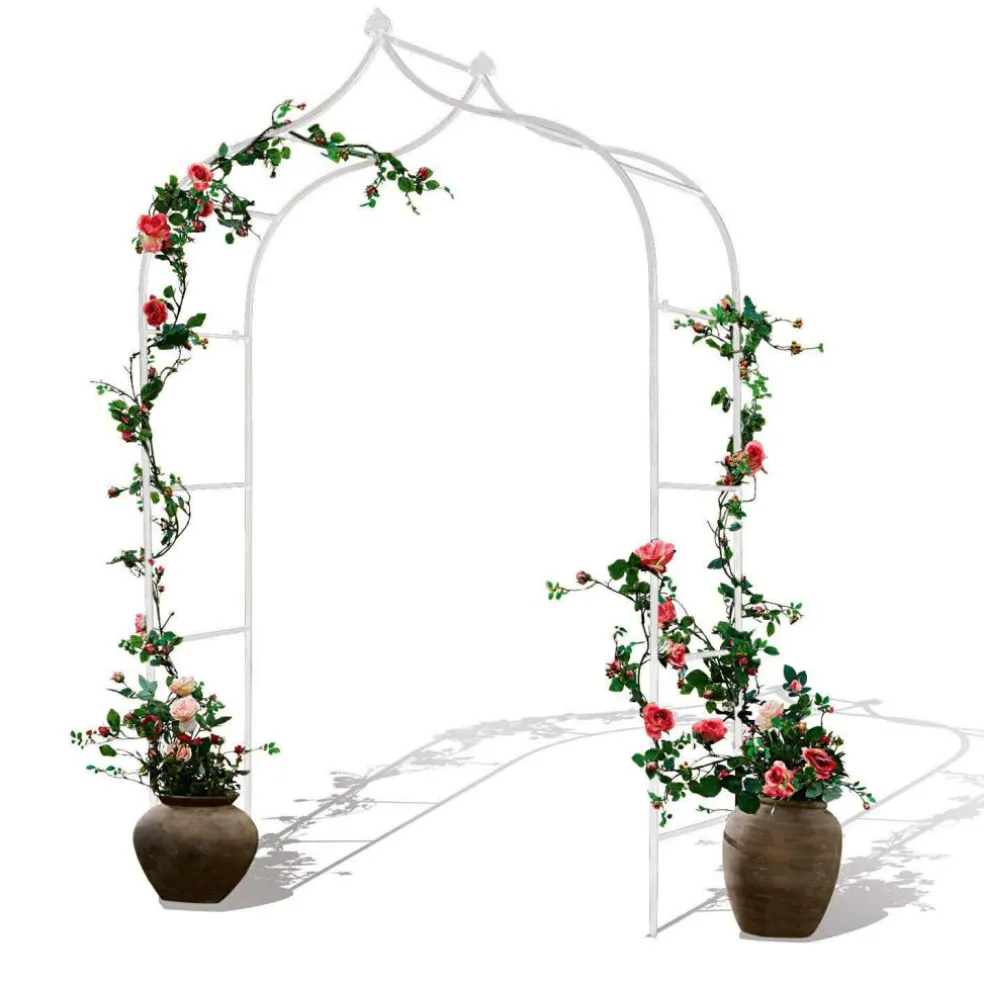 Arche à rosier Dimarus