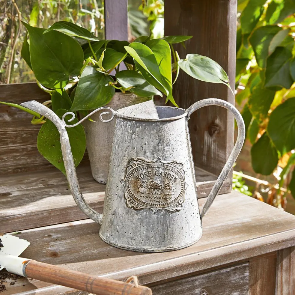 Arrosoir décoratif Rose Garden