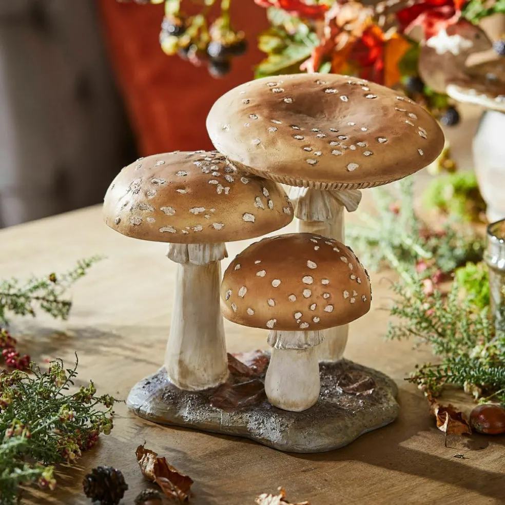 Champignons décoratifs Harvelle