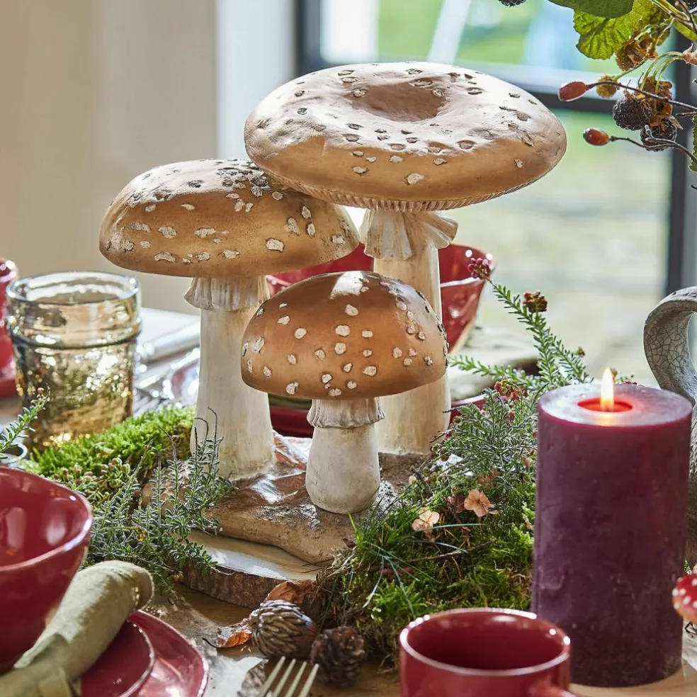 Champignons décoratifs Harvelle