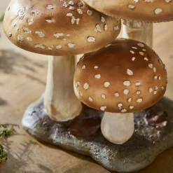 Champignons décoratifs Harvelle