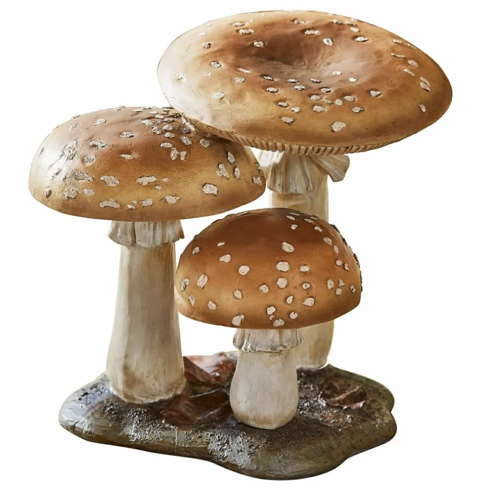 Champignons décoratifs Harvelle