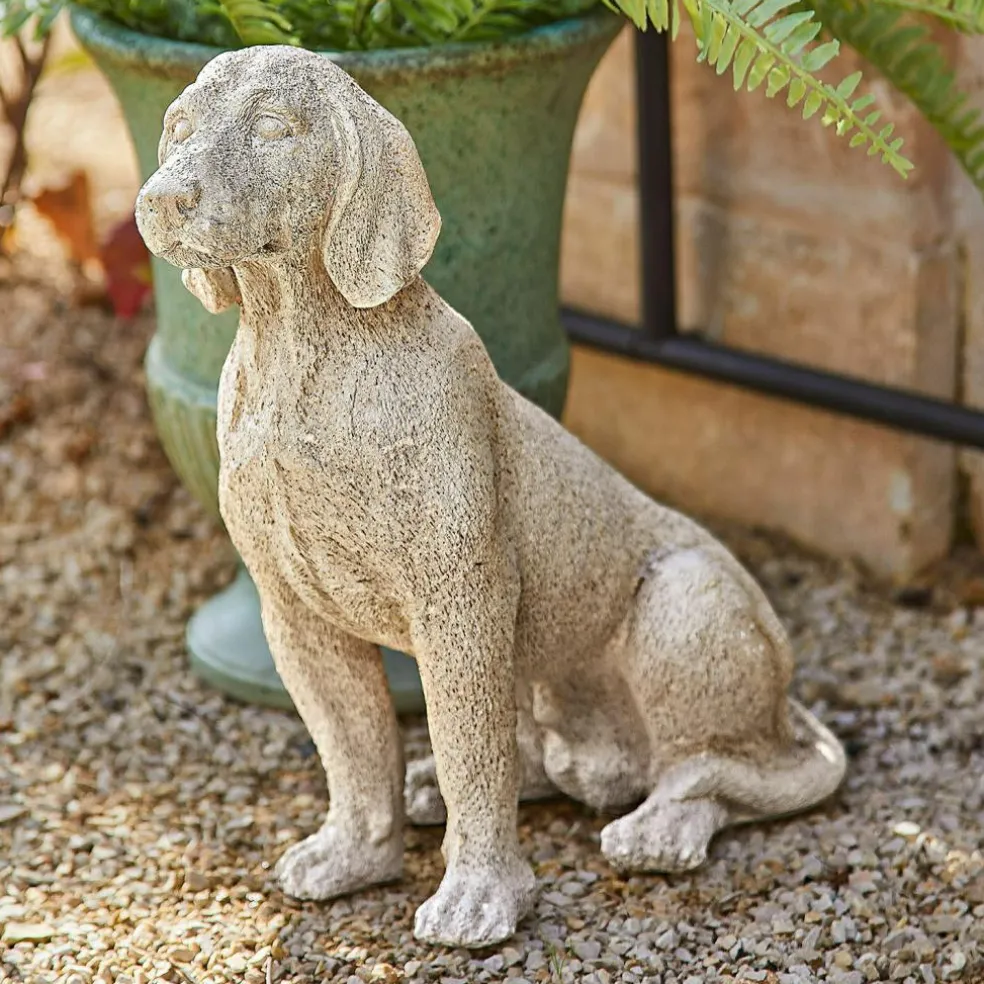 Chien décoratif Albinor
