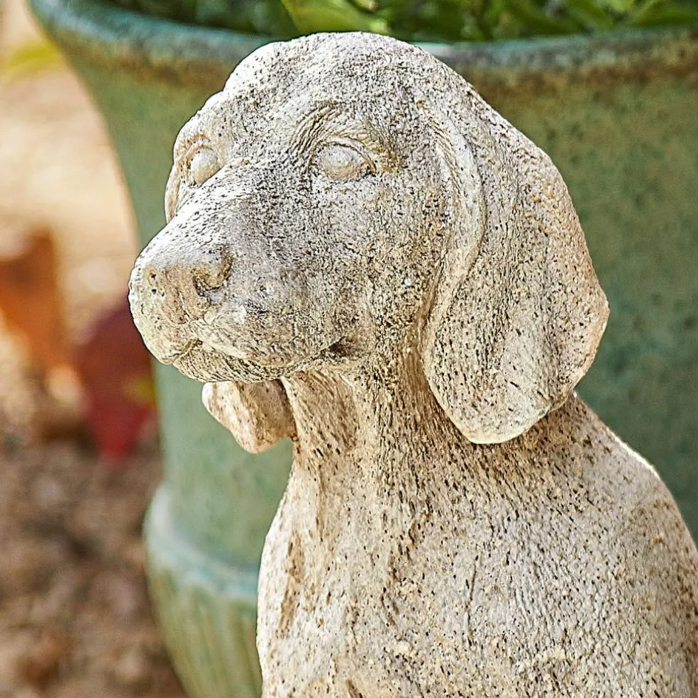 Chien décoratif Albinor