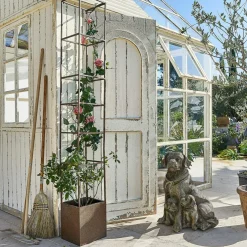 Chien décoratif Samiran