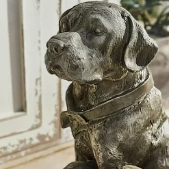 Chien décoratif Samiran