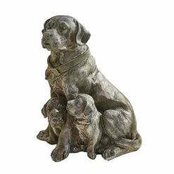 Chien décoratif Samiran