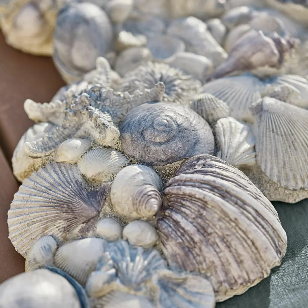 Coquillages décoratifs Potnarvin