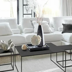 Corail décoratif Condière