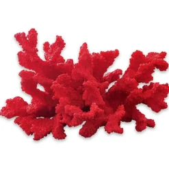 Corail décoratif Reddish