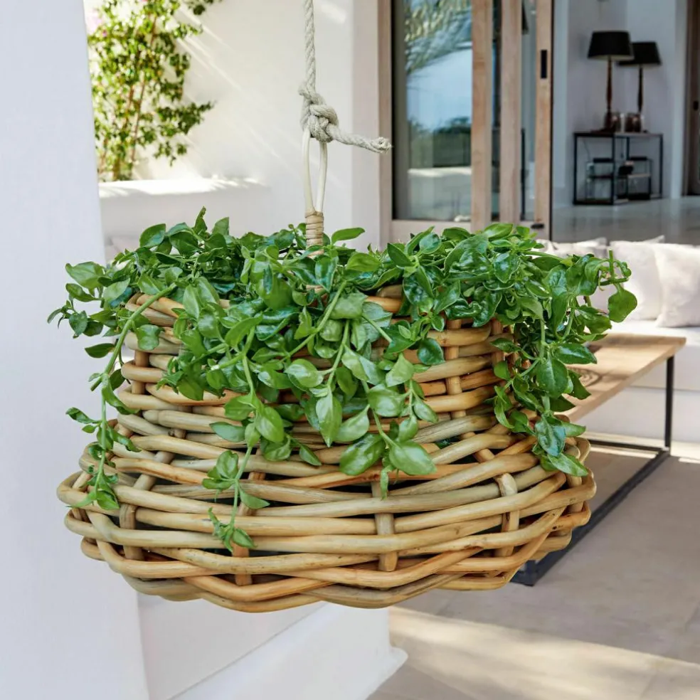 Corbeille à suspendre Villaz