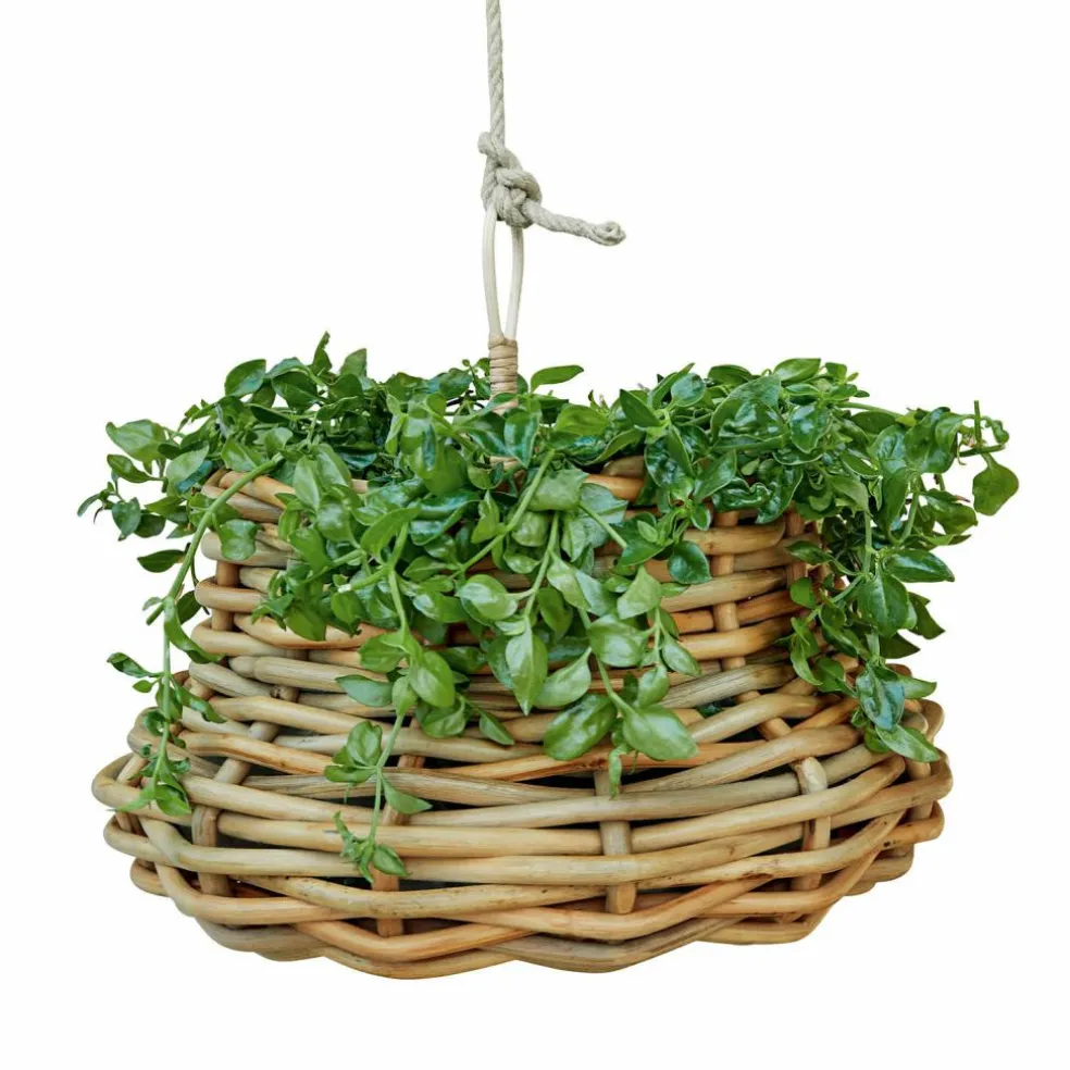 Corbeille à suspendre Villaz