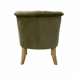 Fauteuil Ardilleux