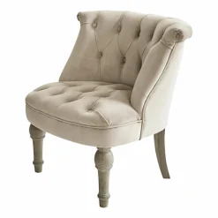 Fauteuil Ardilleux