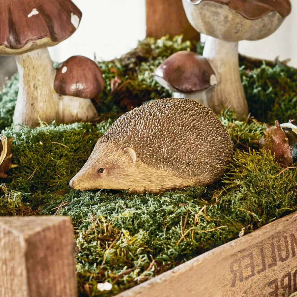 Hérisson décoratif Cotoca