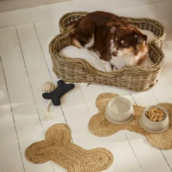 Jouet pour animaux Wuffsy