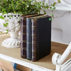 Livre décoratif Boaz