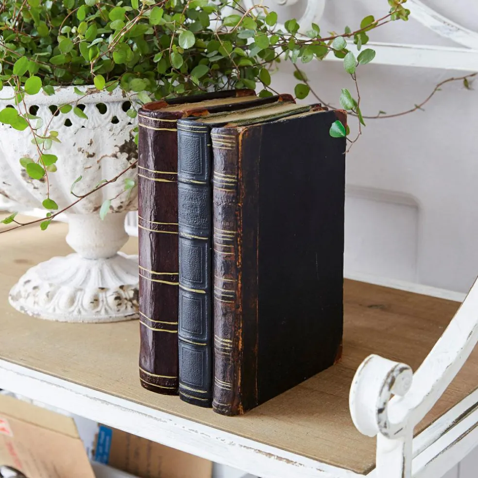 Livre décoratif Boaz