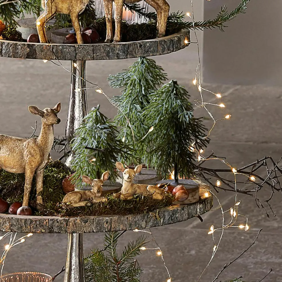 Lot de 3 arbres Lonzac