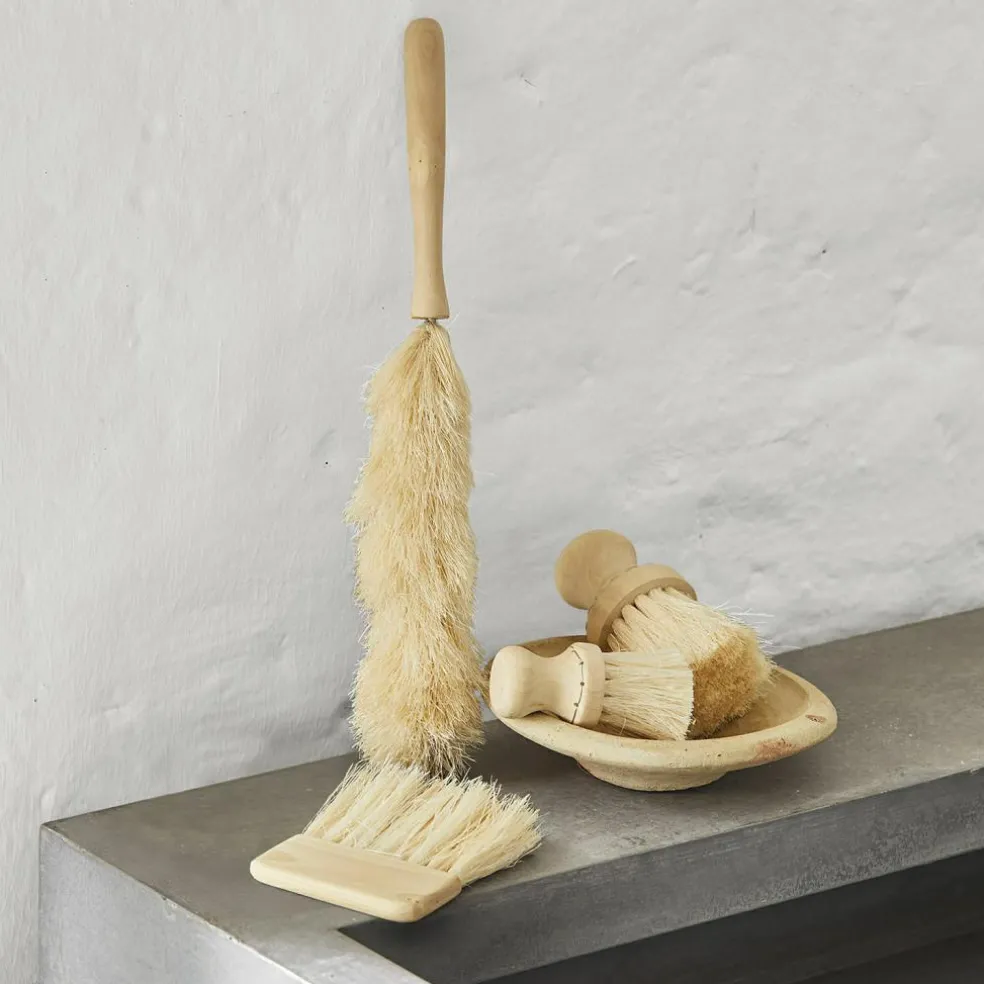 Lot de 4 brosses décoratives Jalexor