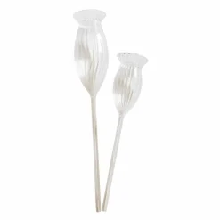 Lot de 2 bulles d’arrosage Radisa