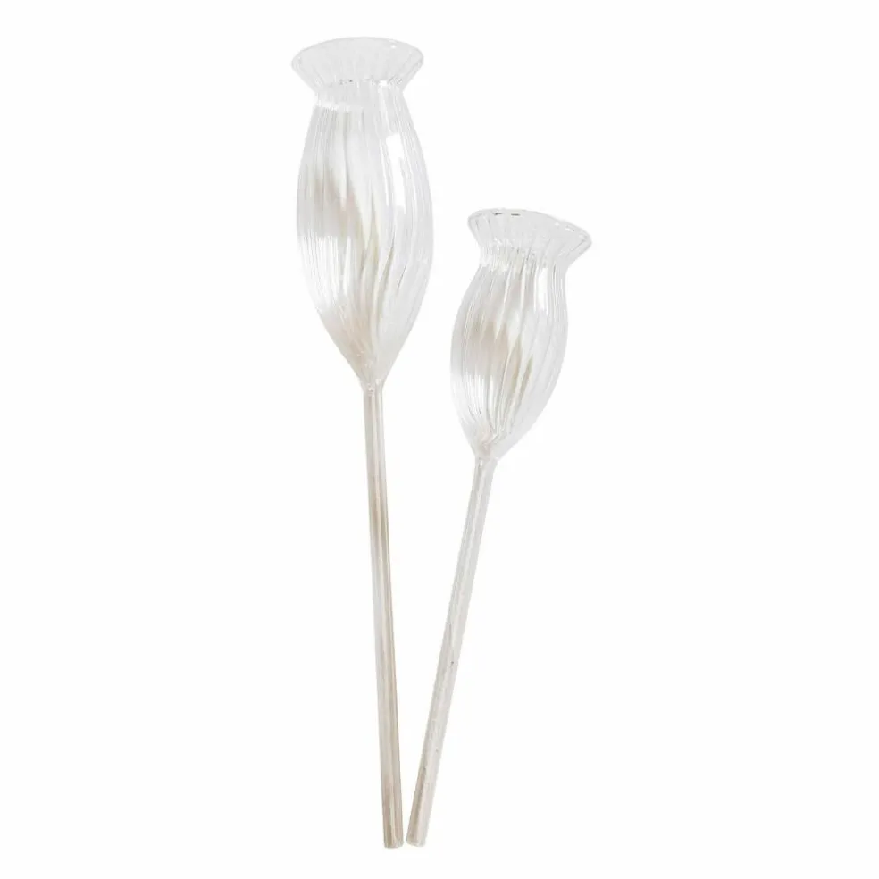 Lot de 2 bulles d’arrosage Radisa