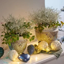 Lot de 2 cache-pots Montcony