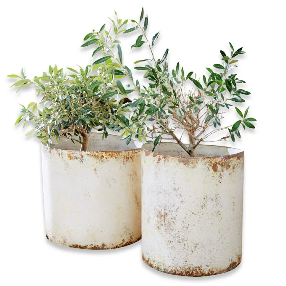 Lot de 2 cache-pots Sconne