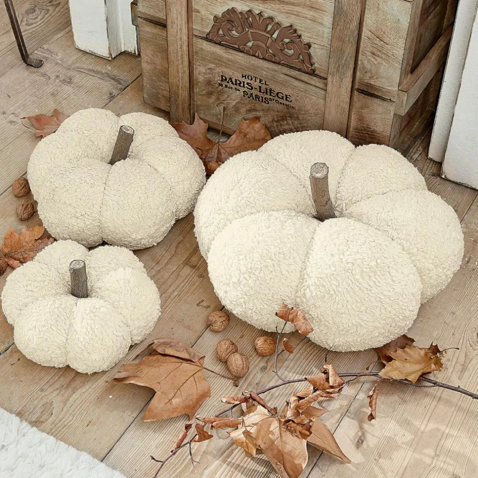 Lot de 3 citrouilles Benjamin