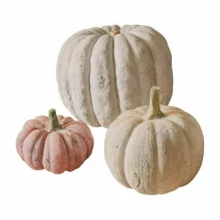 Lot de 3 citrouilles Pumpkin