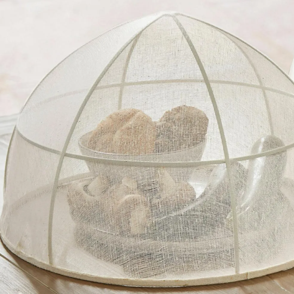 Lot de 2 cloches Ognéville