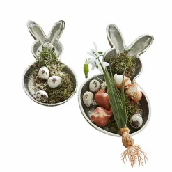 Lot de 2 coupelles Morive