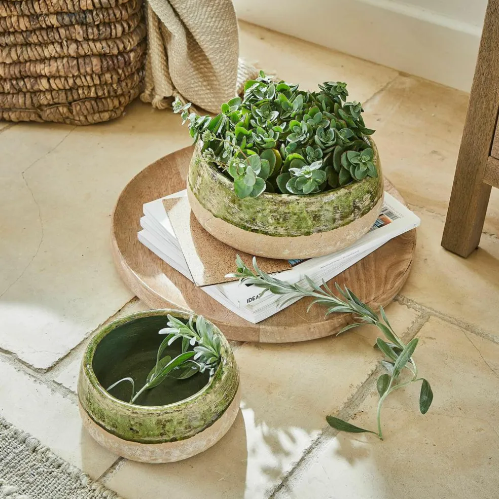 Lot de 2 coupes Reefton