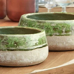 Lot de 2 coupes Reefton