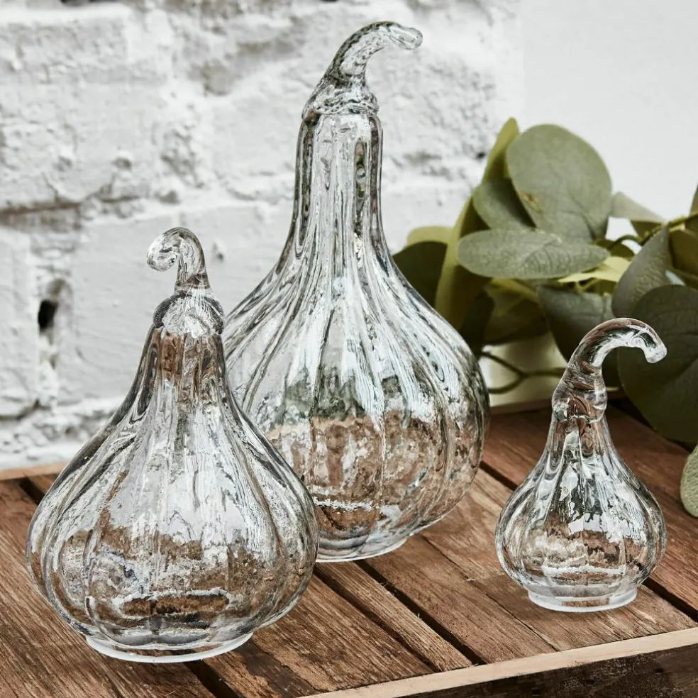 Lot de 3 courges Lacey