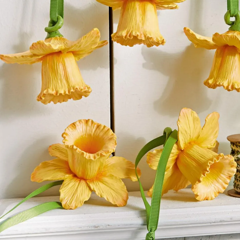 Lot de 5 décorations à suspendre Lozere