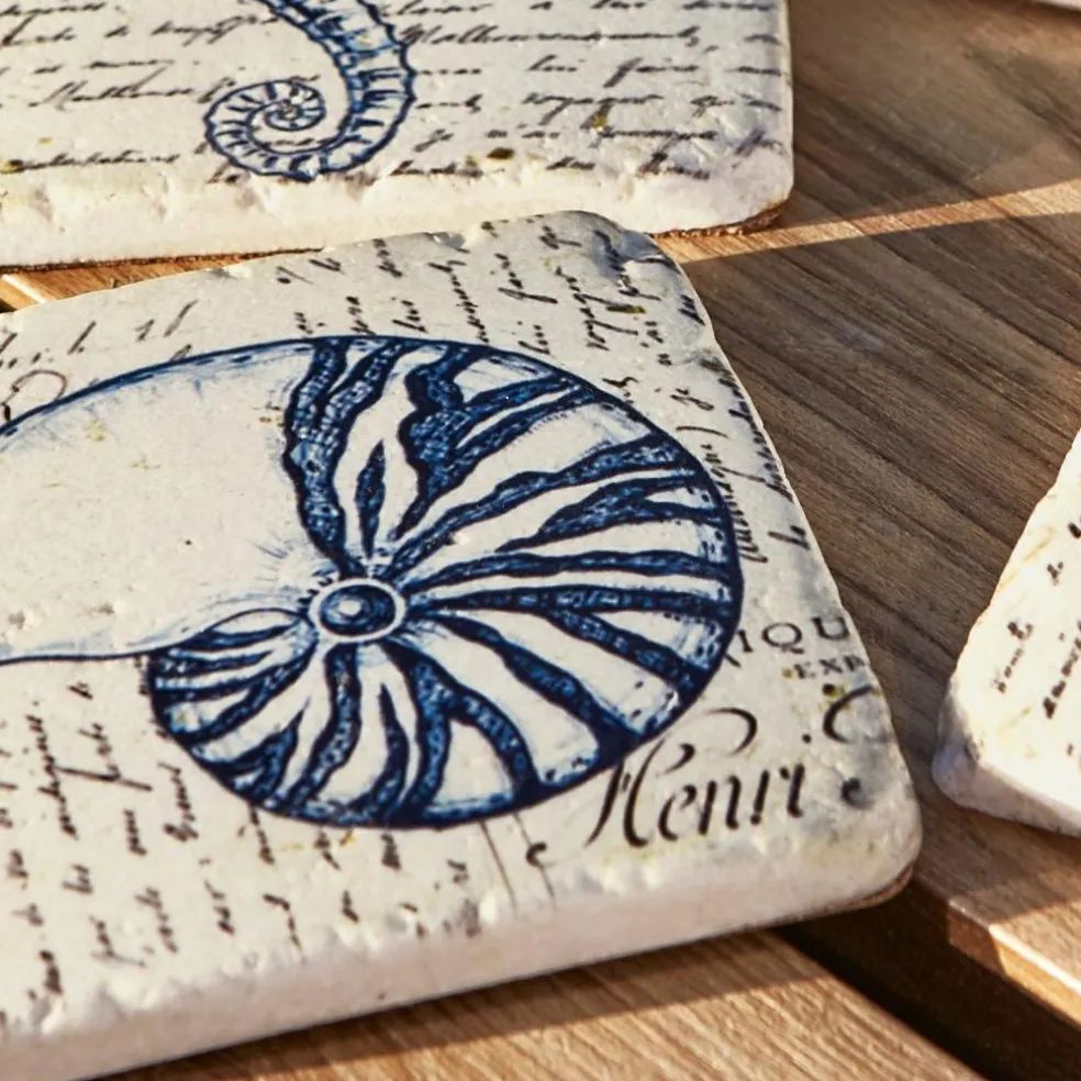 Lot de 4 dessous de verres Faune Marine