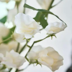 Lot de 6 fleurs Clavigny