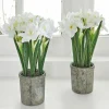 Lot de 2 fleurs décoratives Soralen