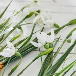 Lot de 12 fleurs décoratives Willmare