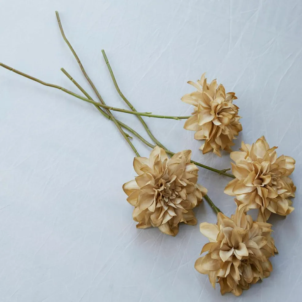 Lot de 4 fleurs décoratives Cappellina