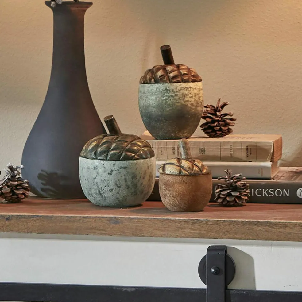 Lot de 3 glands Vibius