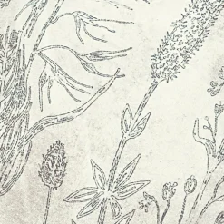 Lot de 2 housses de coussins Eleonoire