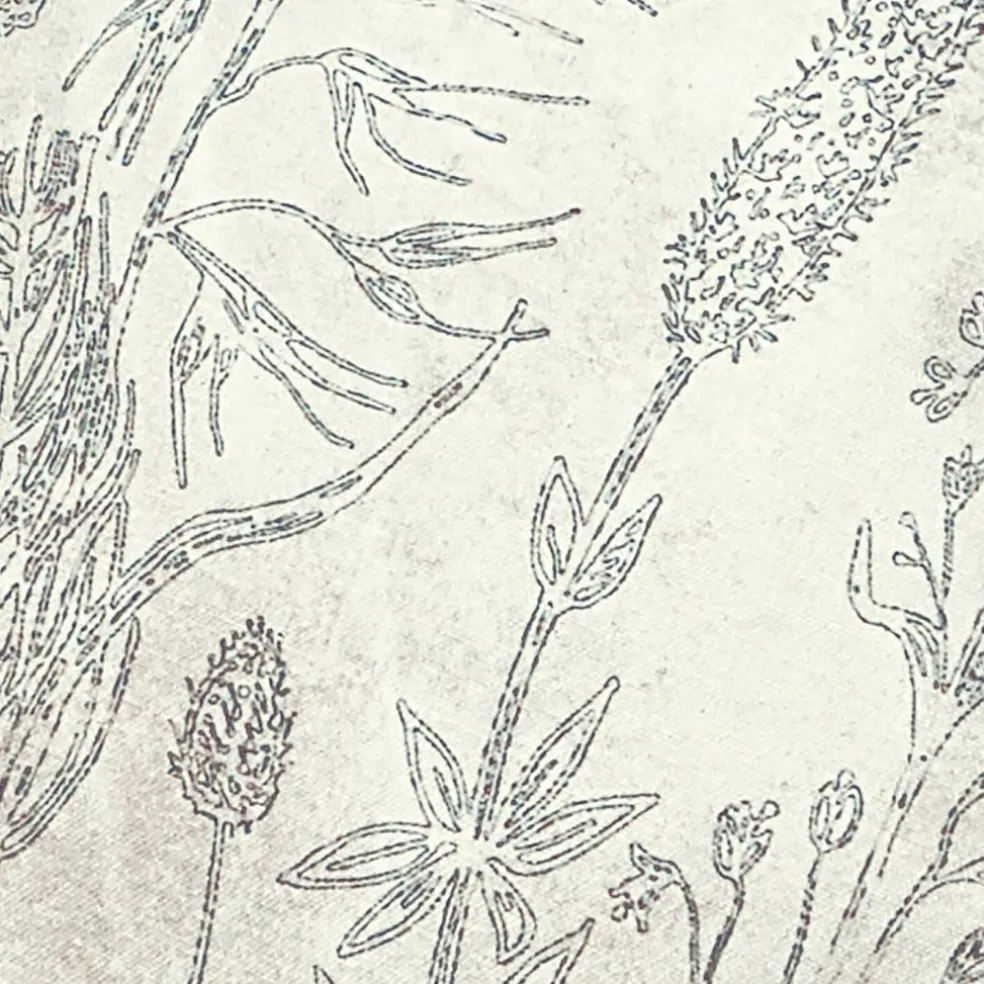 Lot de 2 housses de coussins Eleonoire